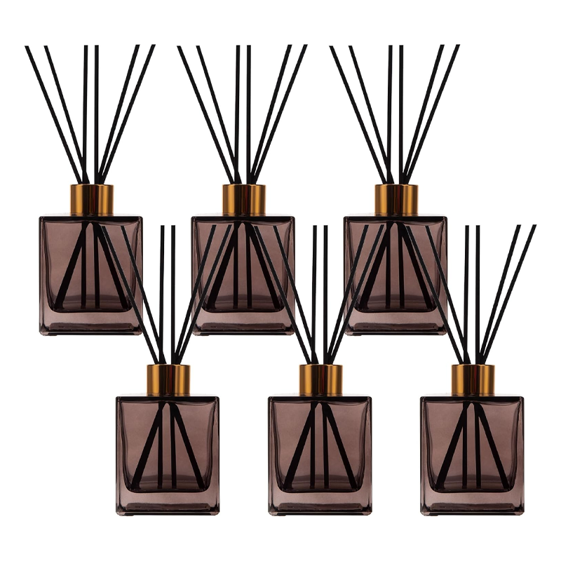 6-Pack Reed Diffuser Bottles with Black Reeds, for DIY Diffuser Replacement Sets