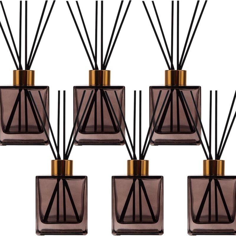 6-Pack Reed Diffuser Bottles with Black Reeds, for DIY Diffuser Replacement Sets